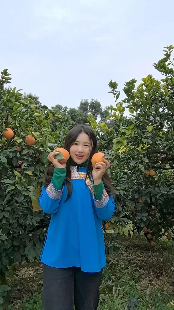 贵州村超脐橙10斤包邮