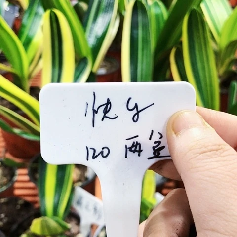 【闪购商品】快*zhibojian