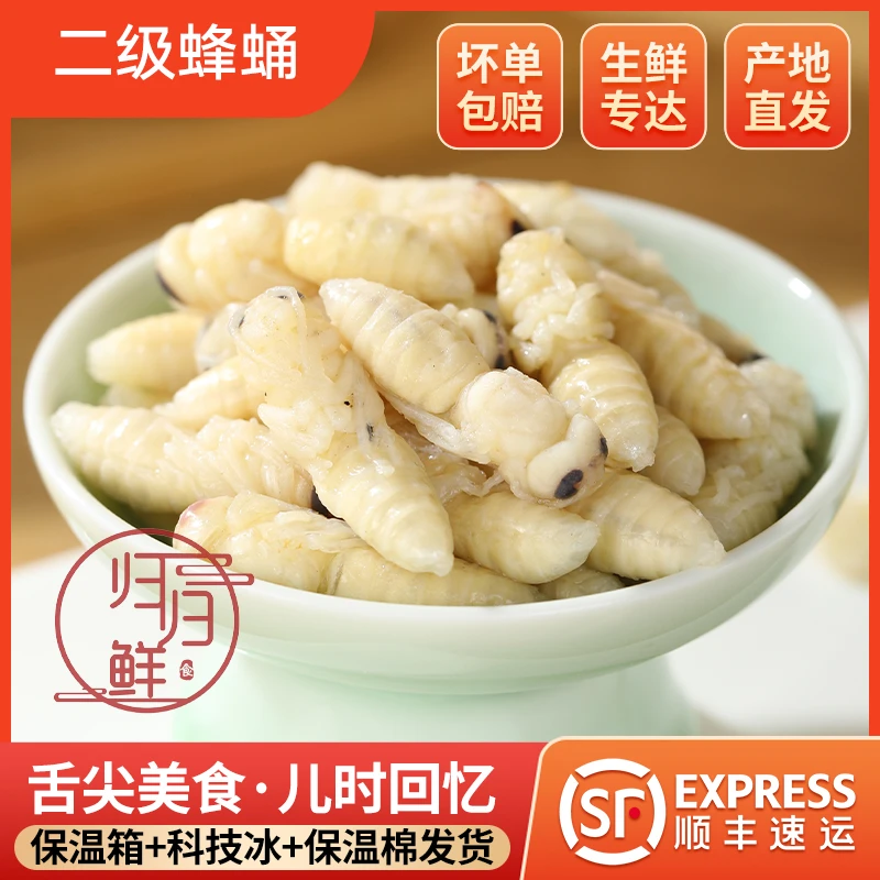 精选二级新鲜冷冻蜂蛹马蜂胡蜂地蜂虎头蜂野味活蜂蛹包邮蜂蛹幼虫