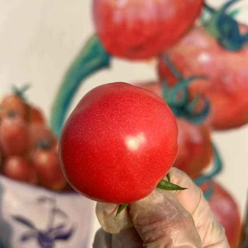 【京东顺丰】铁皮柿子 牧心番组合装  两种王牌番茄的味道一同享受