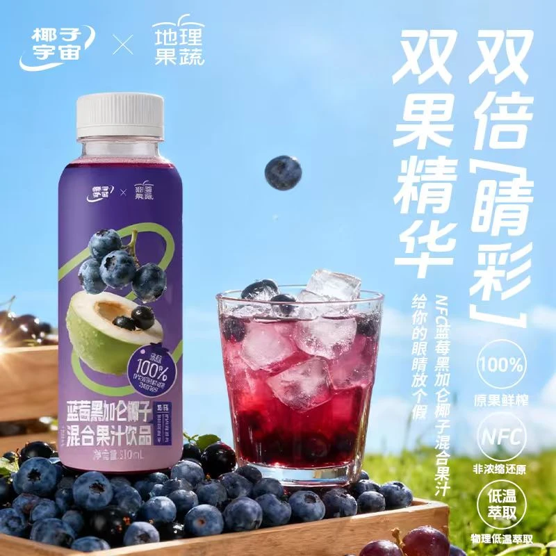 禅宝蓝莓黑加仑椰子混合果汁酸甜可口配料干净NFC鲜宴席聚会饮料