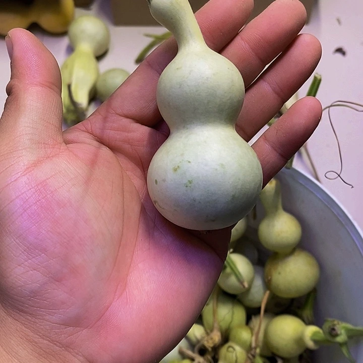 黑****?哈哈哈哈哈哈哈哈哈