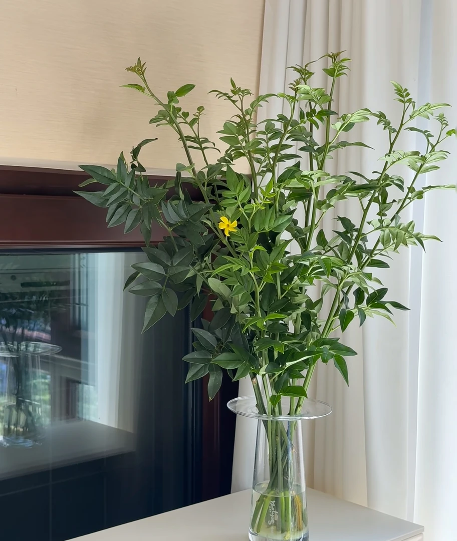 【草花链接】任意鲜花包邮 两单升级冷链 三单及以上鲜花顺丰