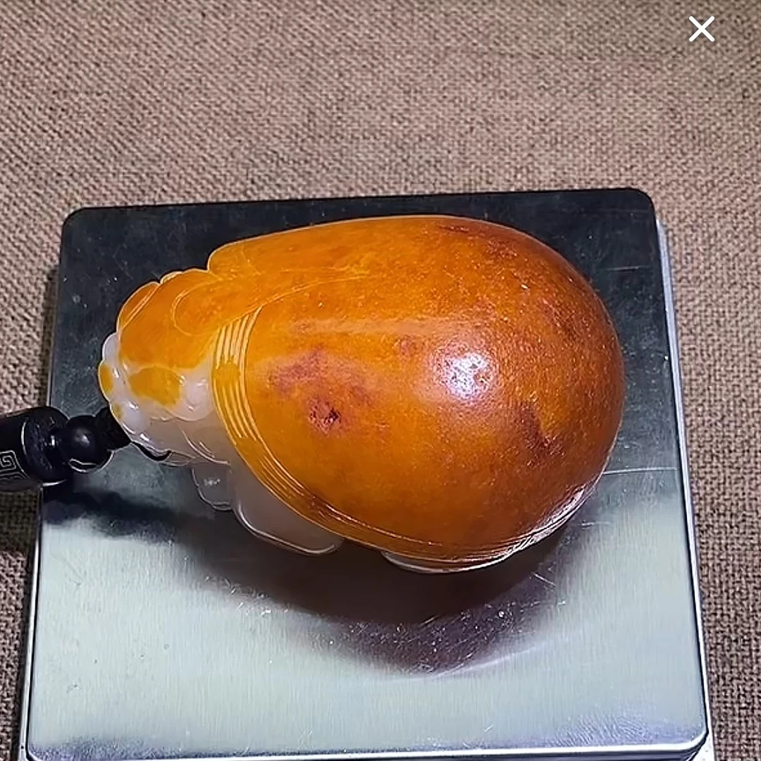 石包多样性拍一发一12月13日 A7