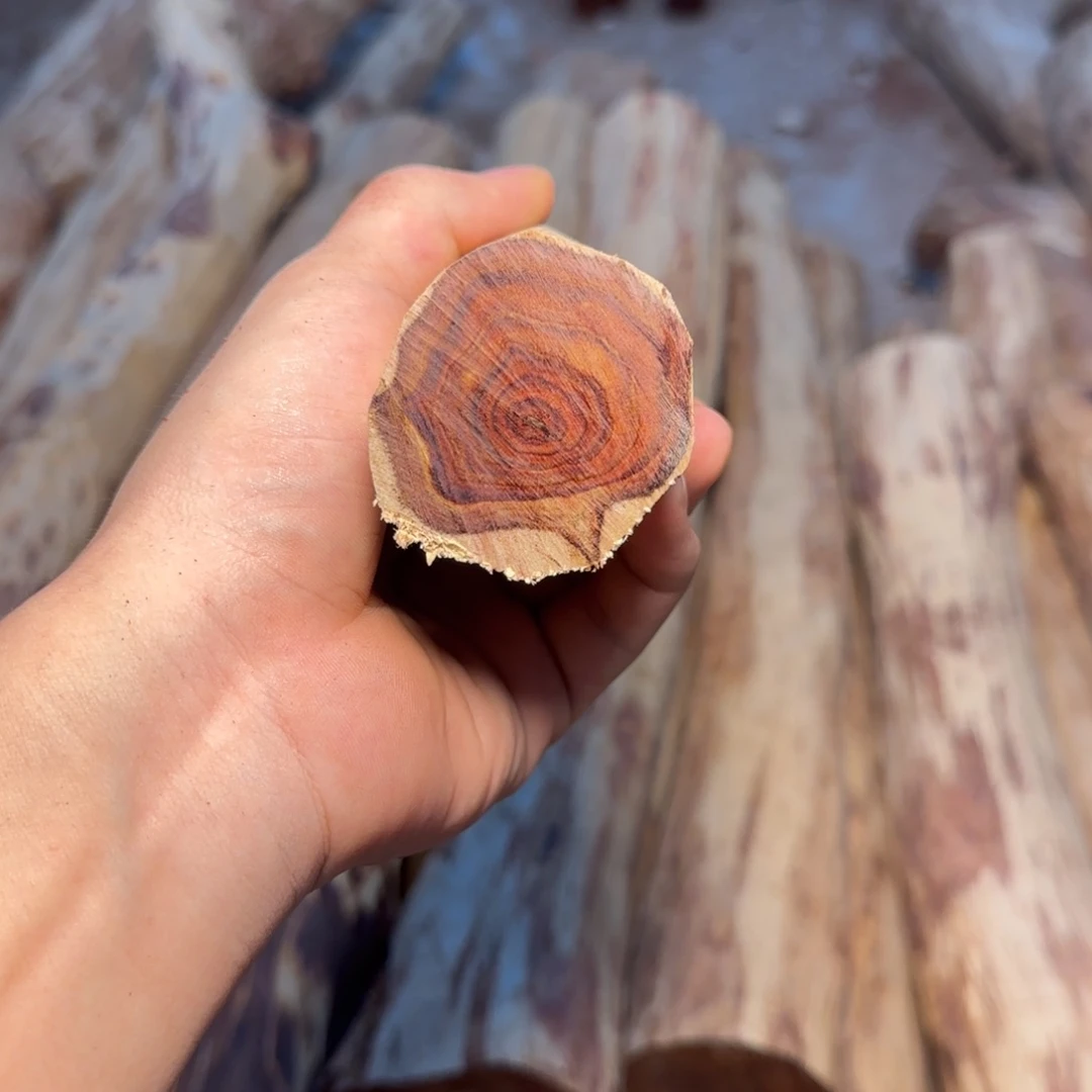 快***集黄花梨/降香黄檀海南黄花梨