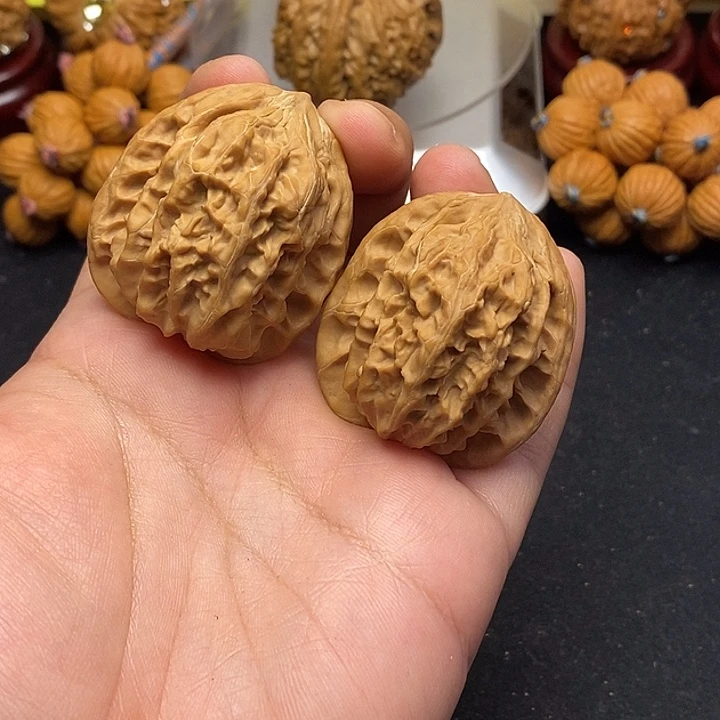 龙脊菩提吊坠野生核王