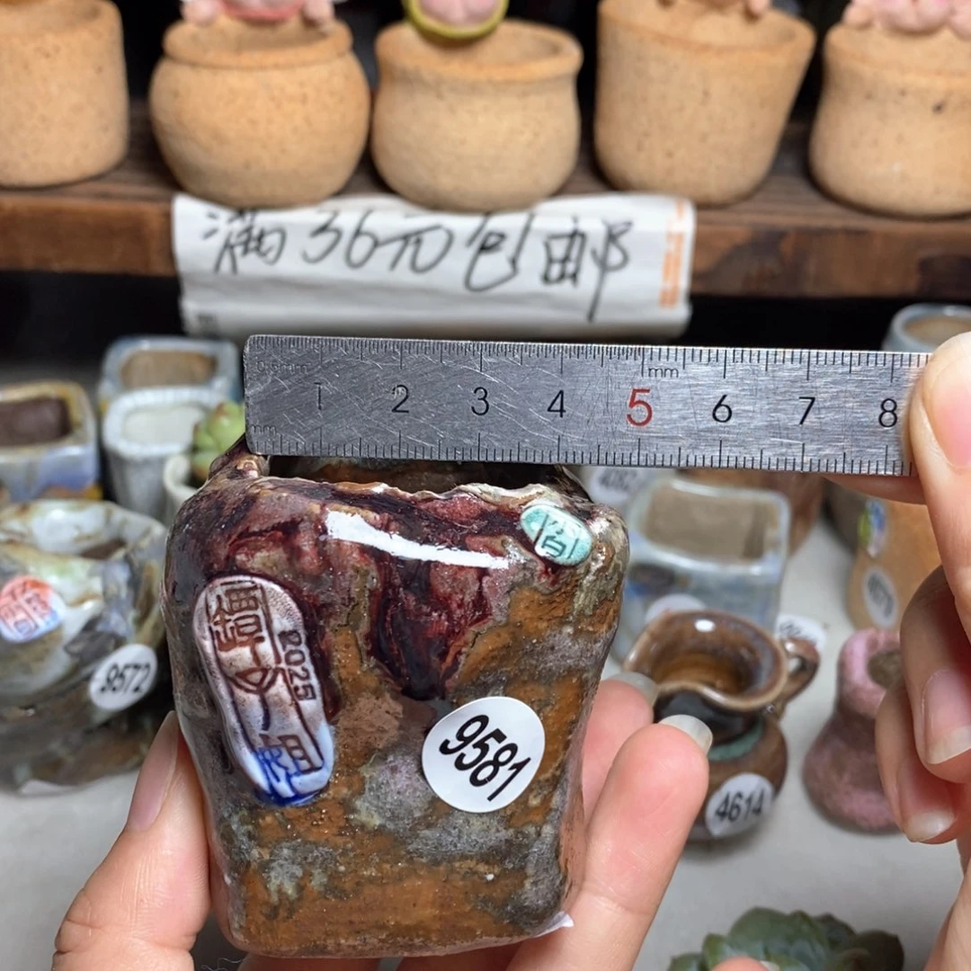 夏*处理的，处理，处理
