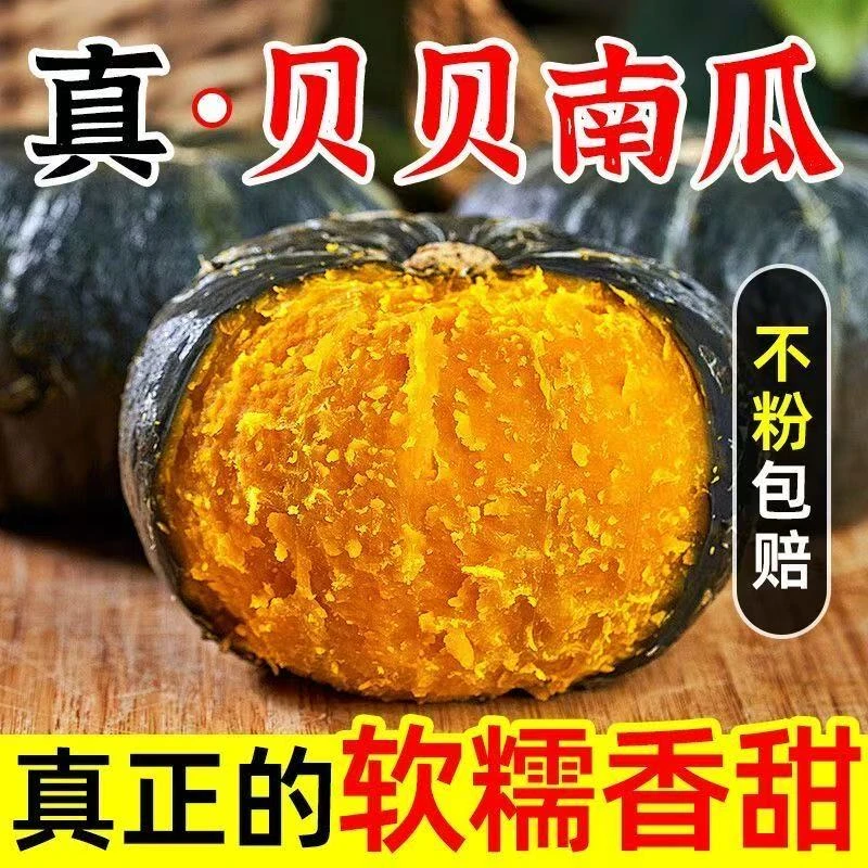 东北农产品贝贝南瓜板栗味营养细腻香甜  包邮