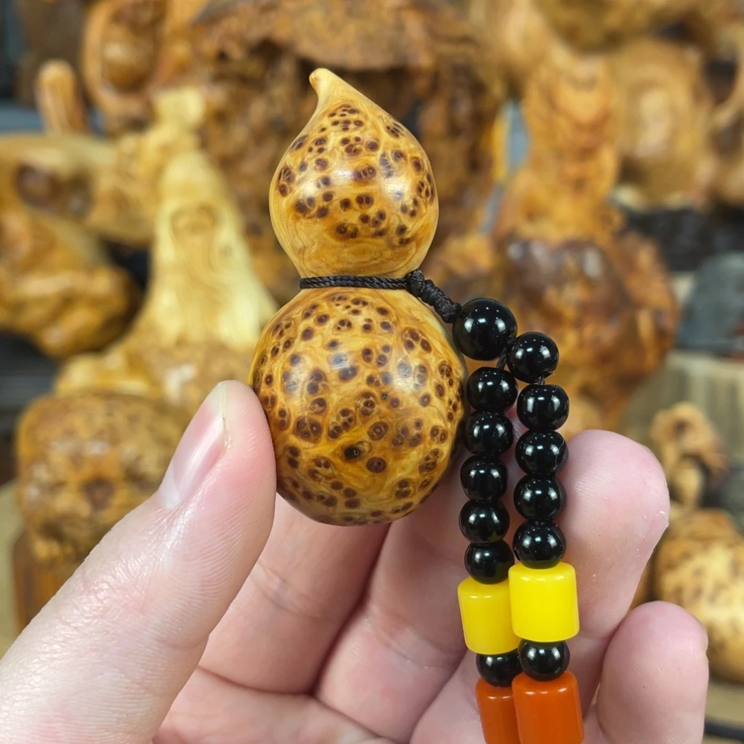 柏木（崖柏）太行崖柏