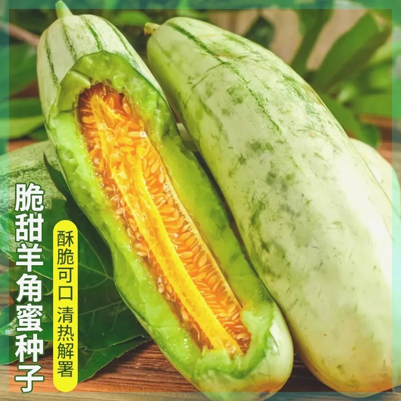 羊角蜜甜瓜种孑甜瓜苗秧香瓜种籽大全四季阳台冰糖子水果蔬菜种子