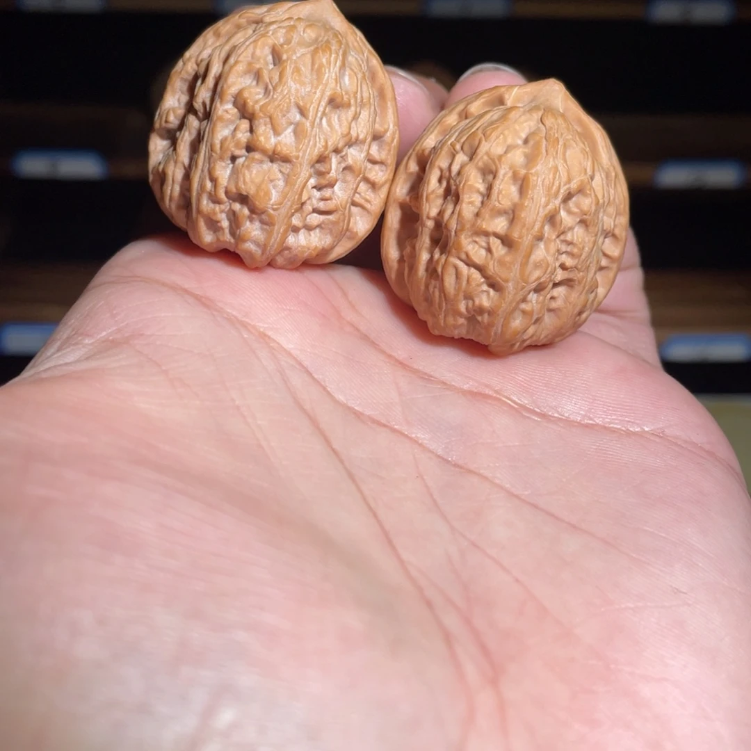 吊坠文玩核桃33龙墩