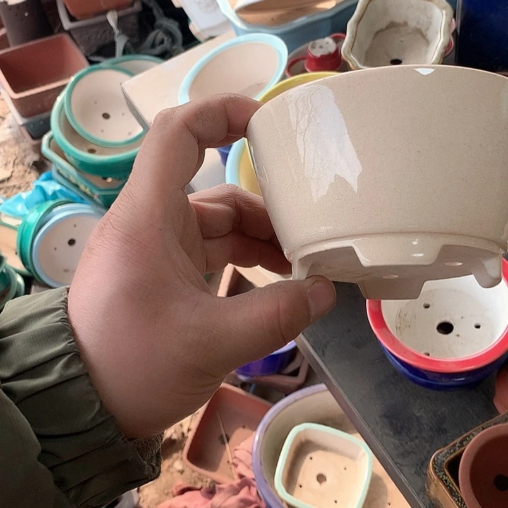 紫砂哈哈真的是太给力太