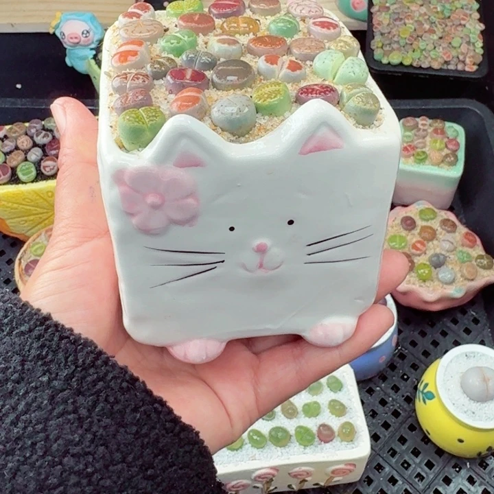 559零下地区记得拍保温箱满18包邮