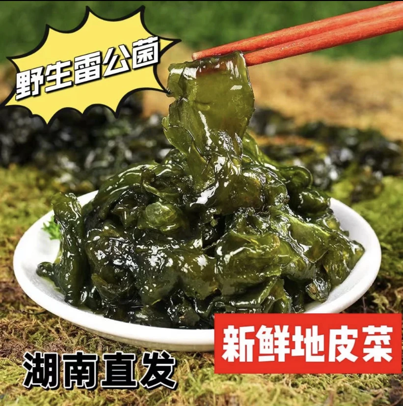 湘西野生雷公菌地木耳 新鲜现采地皮菜