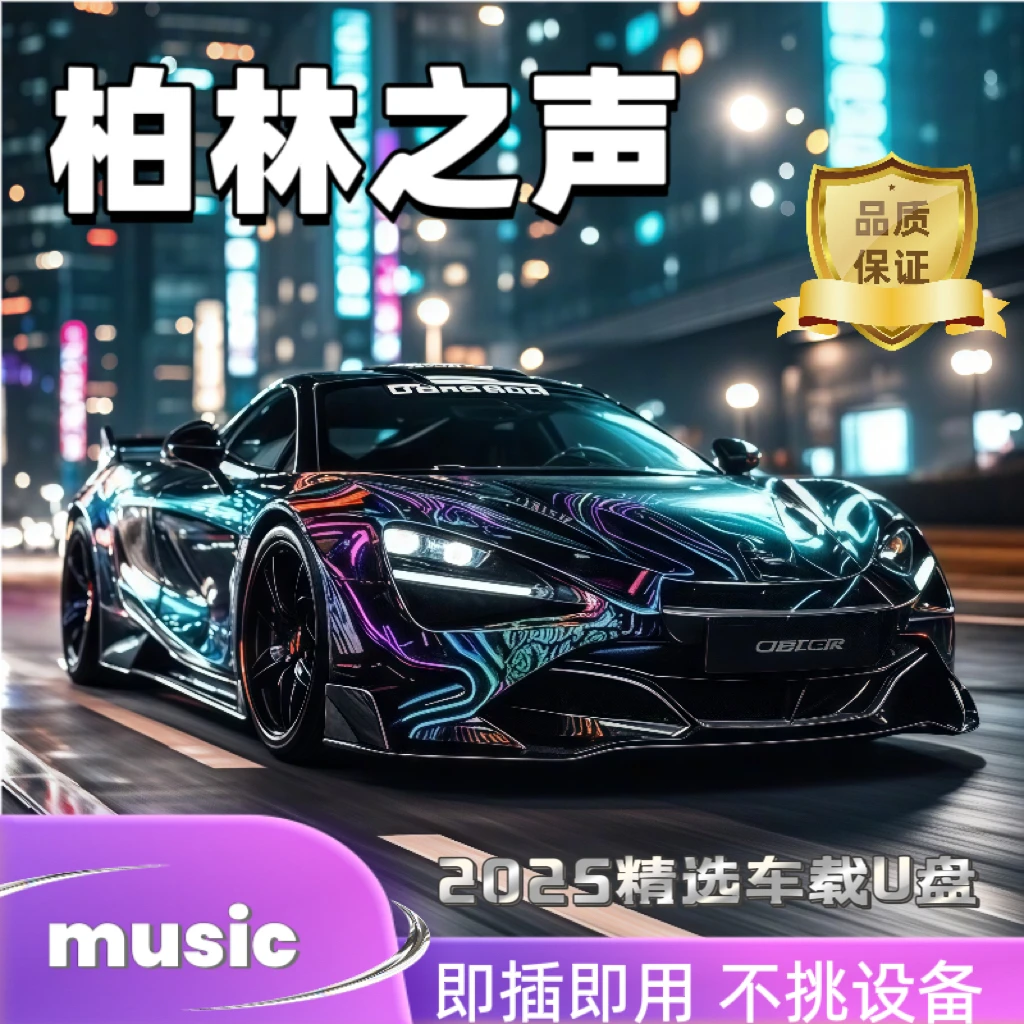 2025新款高品质车载音乐U盘新款便携正版授权U盘