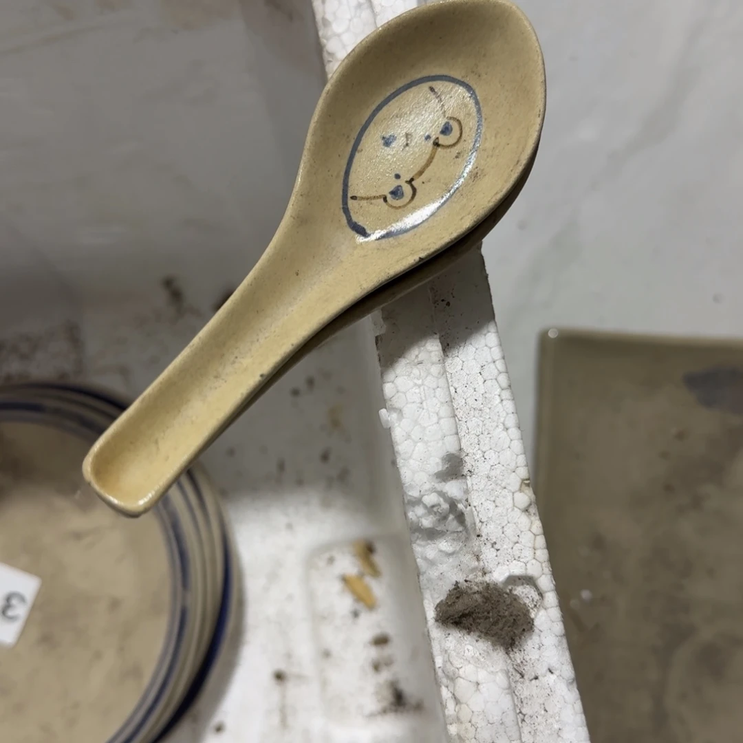 在这个充满生机又神秘美丽