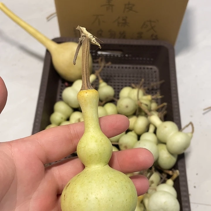 【***】感谢大哥支持不保成