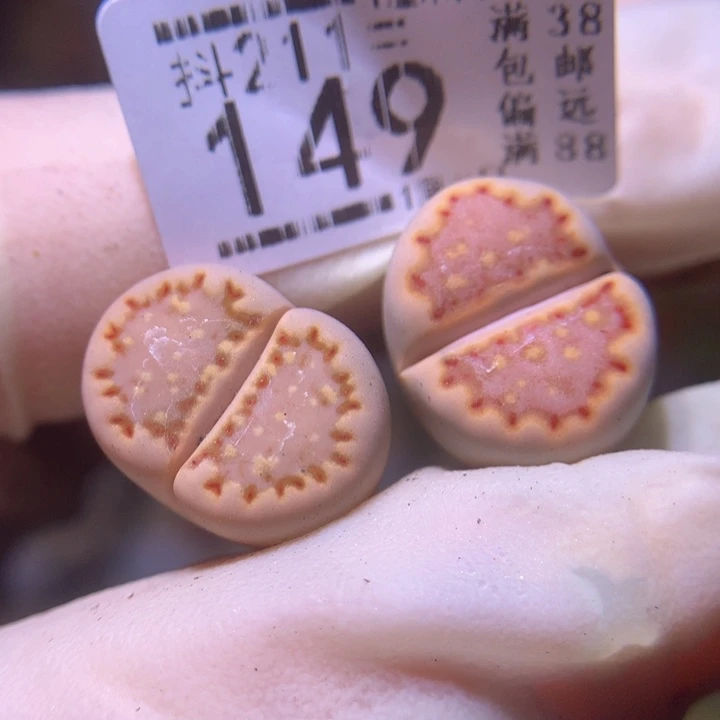 陈****?生石花多肉211.149
