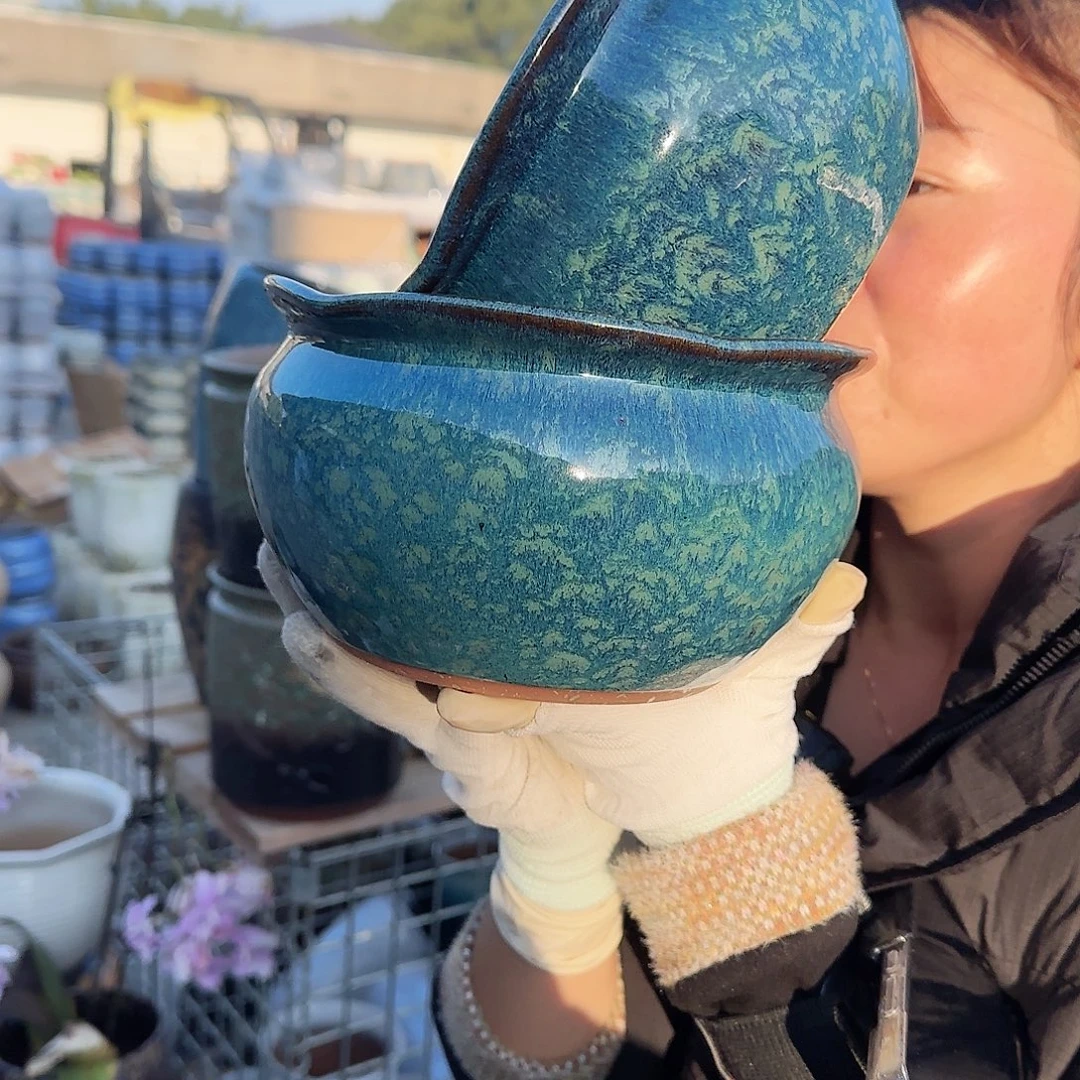 王嫂花盆直播1123-302高11口20