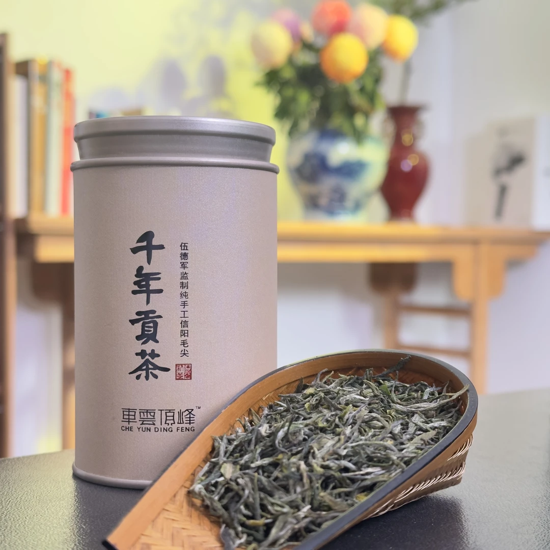 【向阳】早春信阳毛尖车云山高山群体老旱茶传统手工茶焦糖香