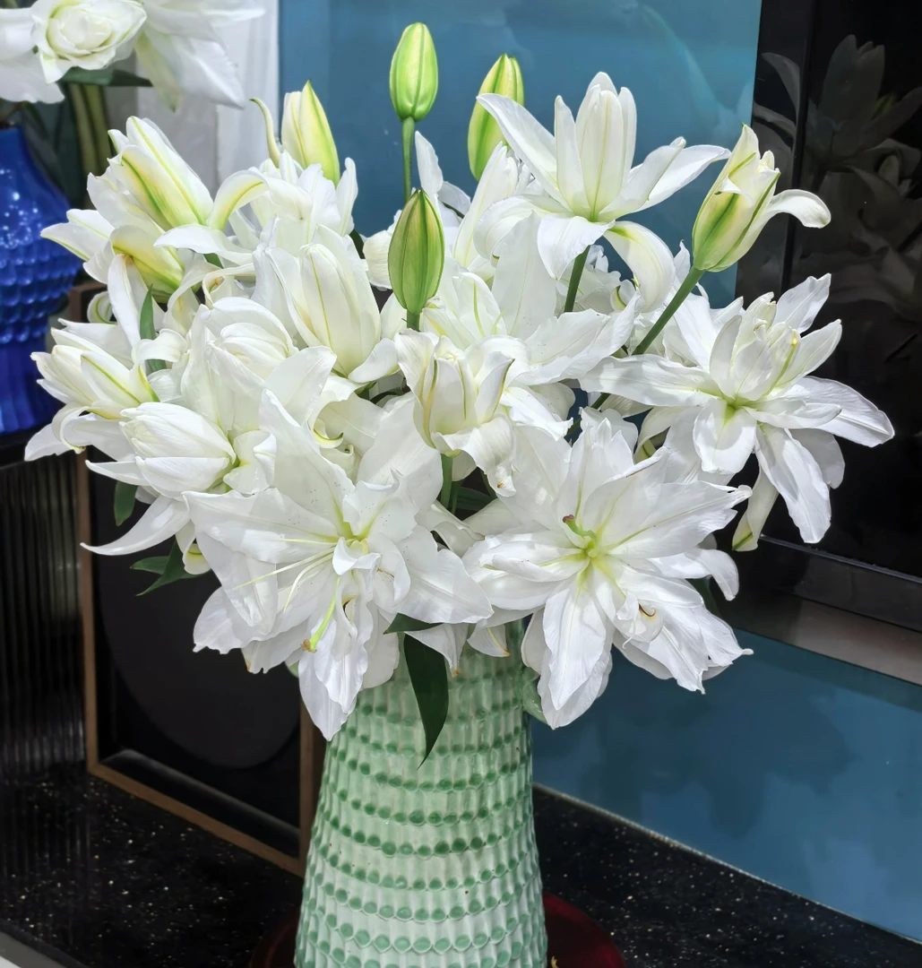 【莲花美人重瓣香水百合】云南优选鲜切花昆明基地直发家用插花节日