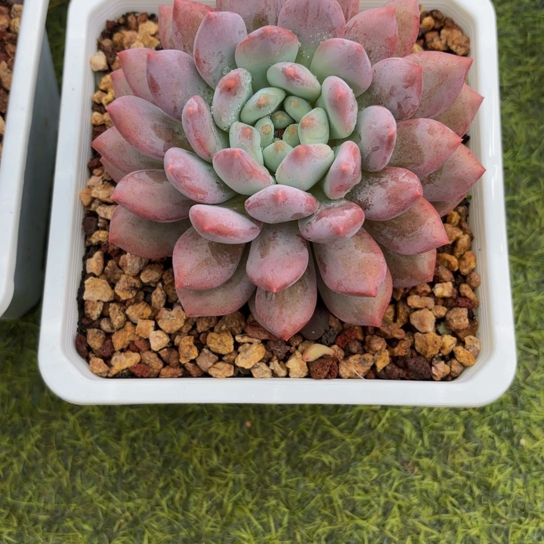 *****Jjbbnnnnnnjjjnnkkkbjjj