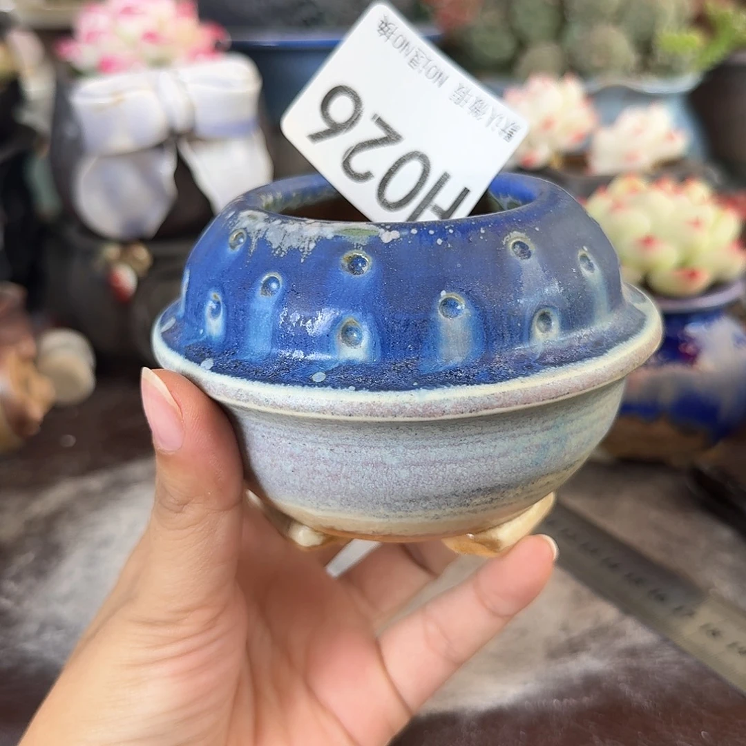 重庆小燕子欢迎大家026