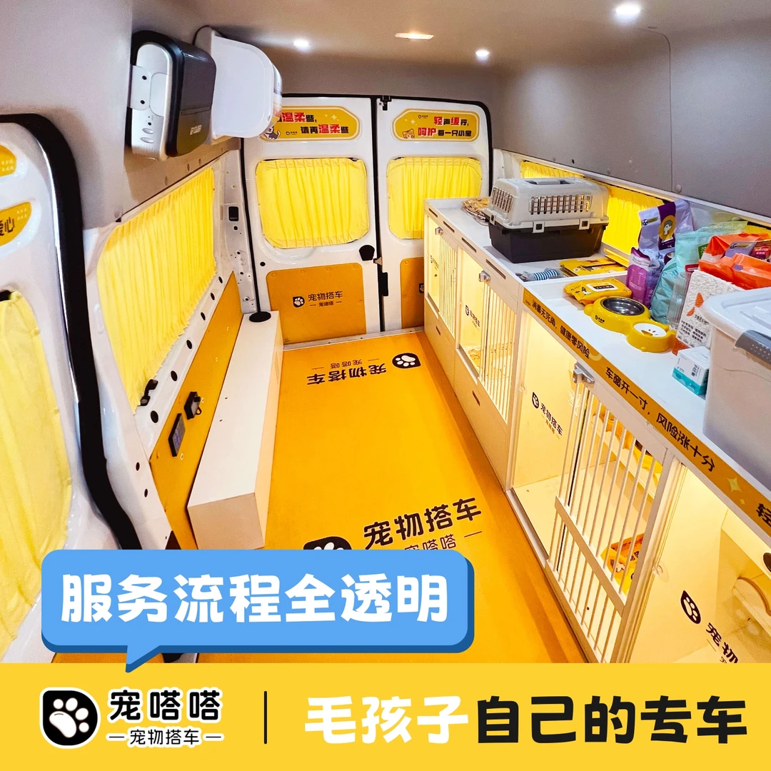 宠物托运上门接送全流程透明服务全国覆盖