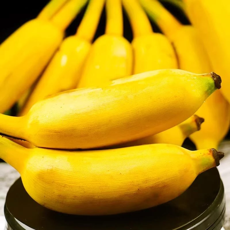 广西苹果蕉新鲜粉蕉水果香甜小米蕉自然熟香蕉当季糯正宗整箱现摘