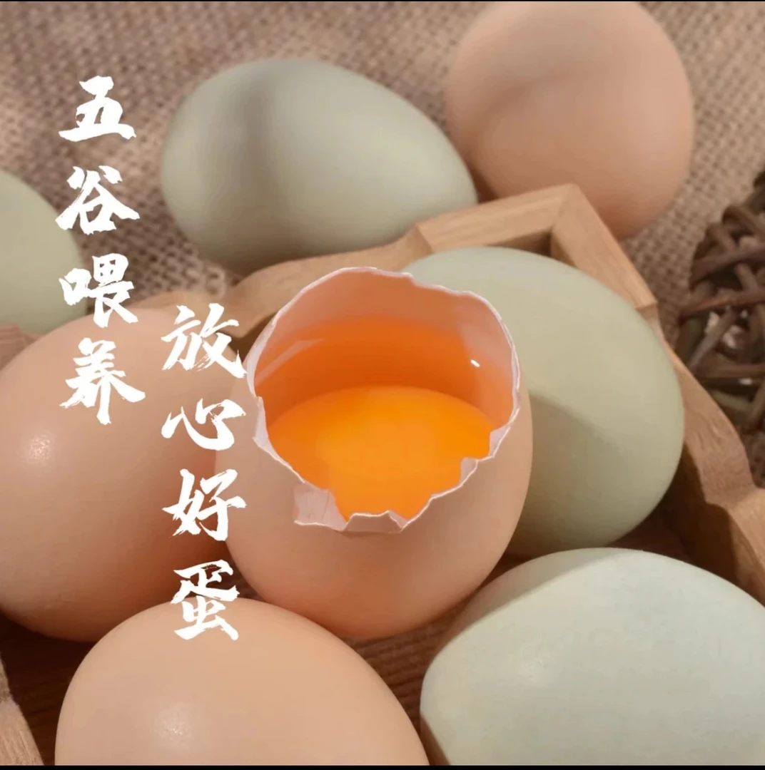 新鲜土鸡蛋初生蛋50枚新鲜营养现捡现发