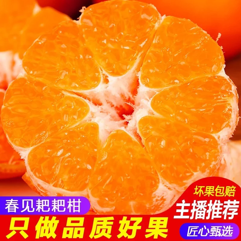 （顺丰川）江春见耙耙柑粑粑柑新鲜水果现摘现发5斤8斤包邮