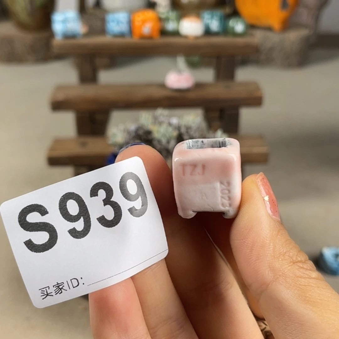 指尖盆 孤品 内口1左右 百搭