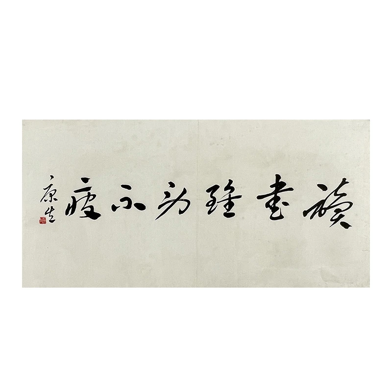 c-2865康老师托底书法49*99cm