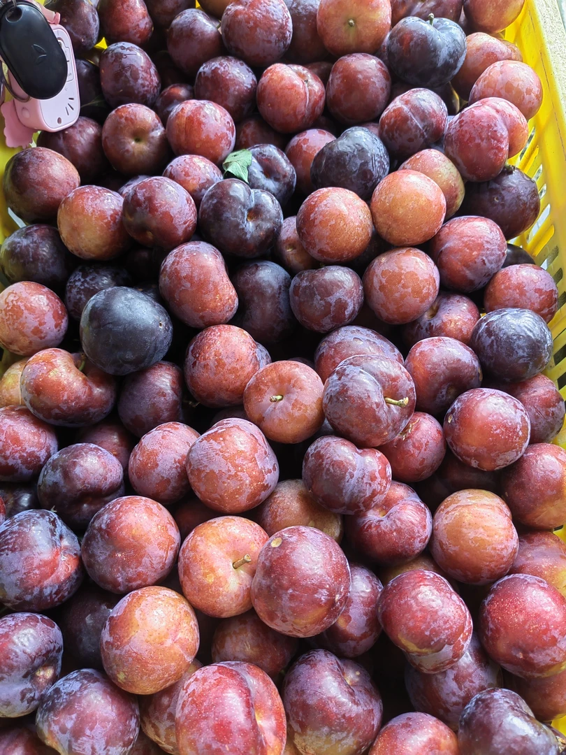 麻阳奥德罗大（红心三华）李新鲜脆甜酸孕妇当季水果