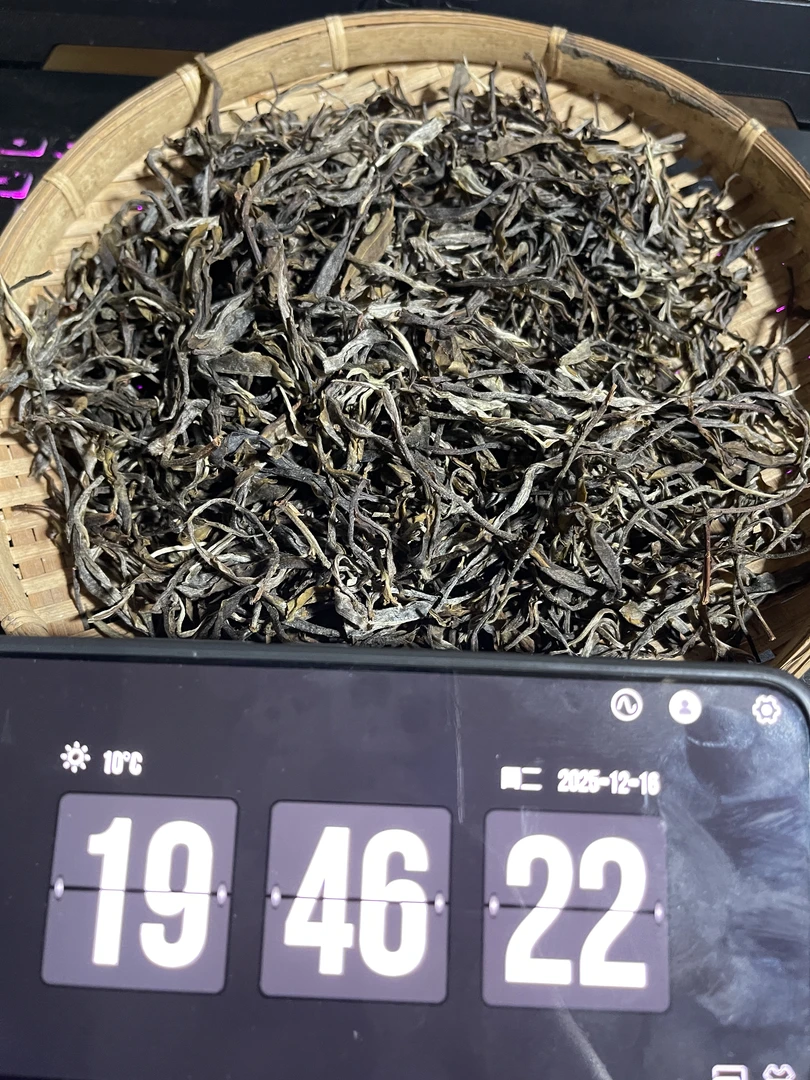 04.23 2025年保山漭水五百年古树单株春茶 生茶 25/12/16