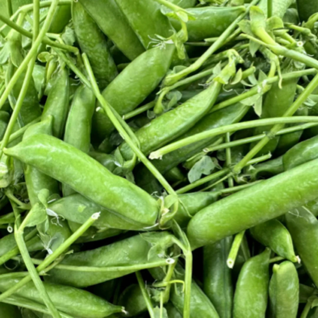 新鲜豌豆  300克