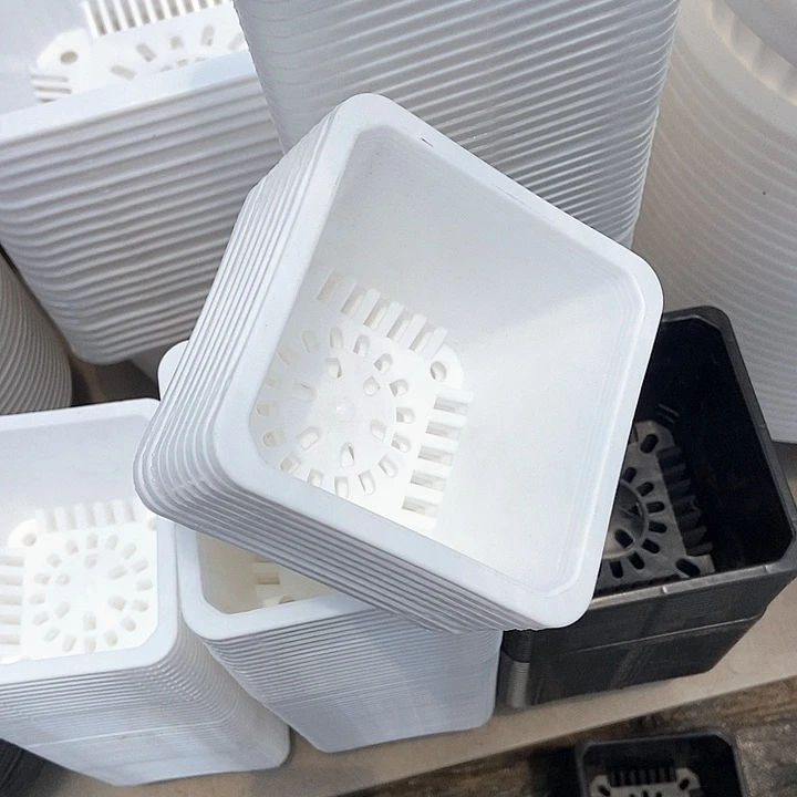 100白方盆10个口9厘米高8厘米