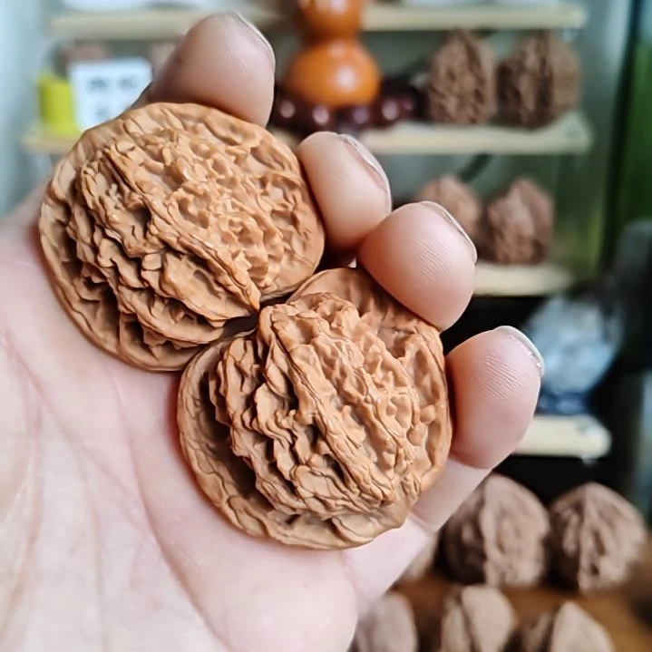 44尺寸，姜黄皮狮虎兽