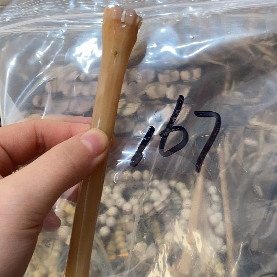 A***Y非金属鹿骨鹿骨鹿骨