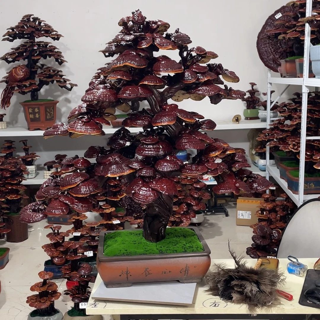 无花朵88888888888888