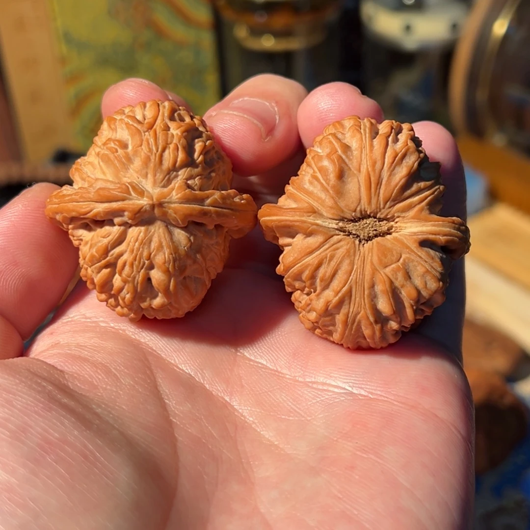 把件文玩核桃全品汉高白38（尖有微黄）