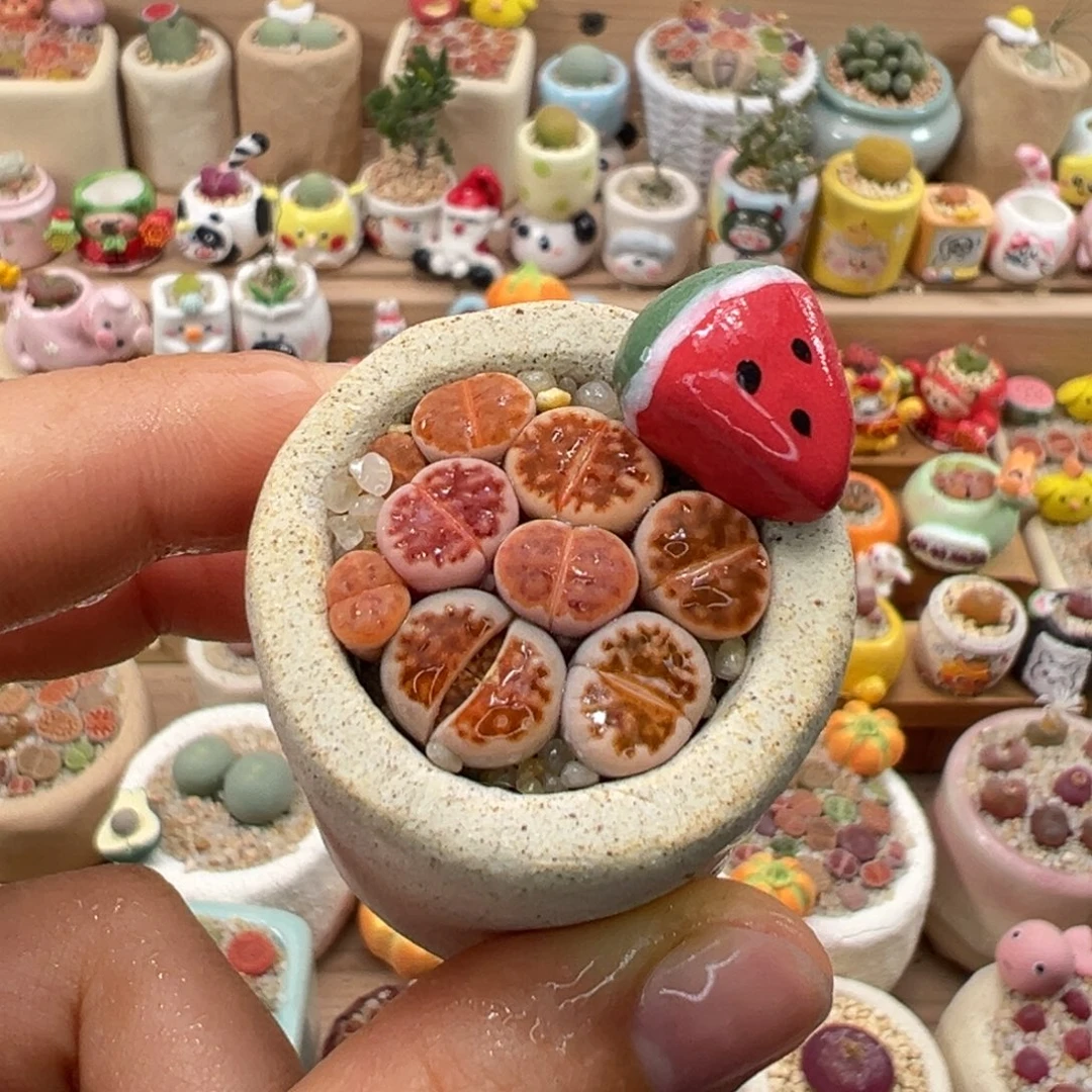 多肉植物108号红色