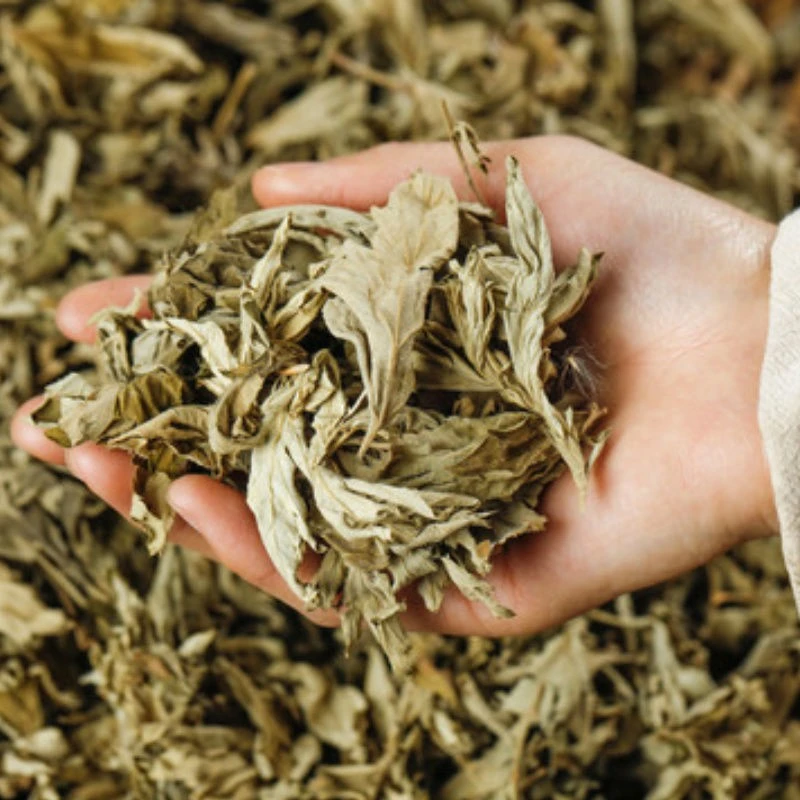 【手选】秦岭艾叶干艾叶草陈艾叶纯叶艾叶纯手工采摘艾叶草