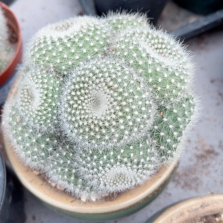 姐***签恭喜发财我会的哦哈哈不错