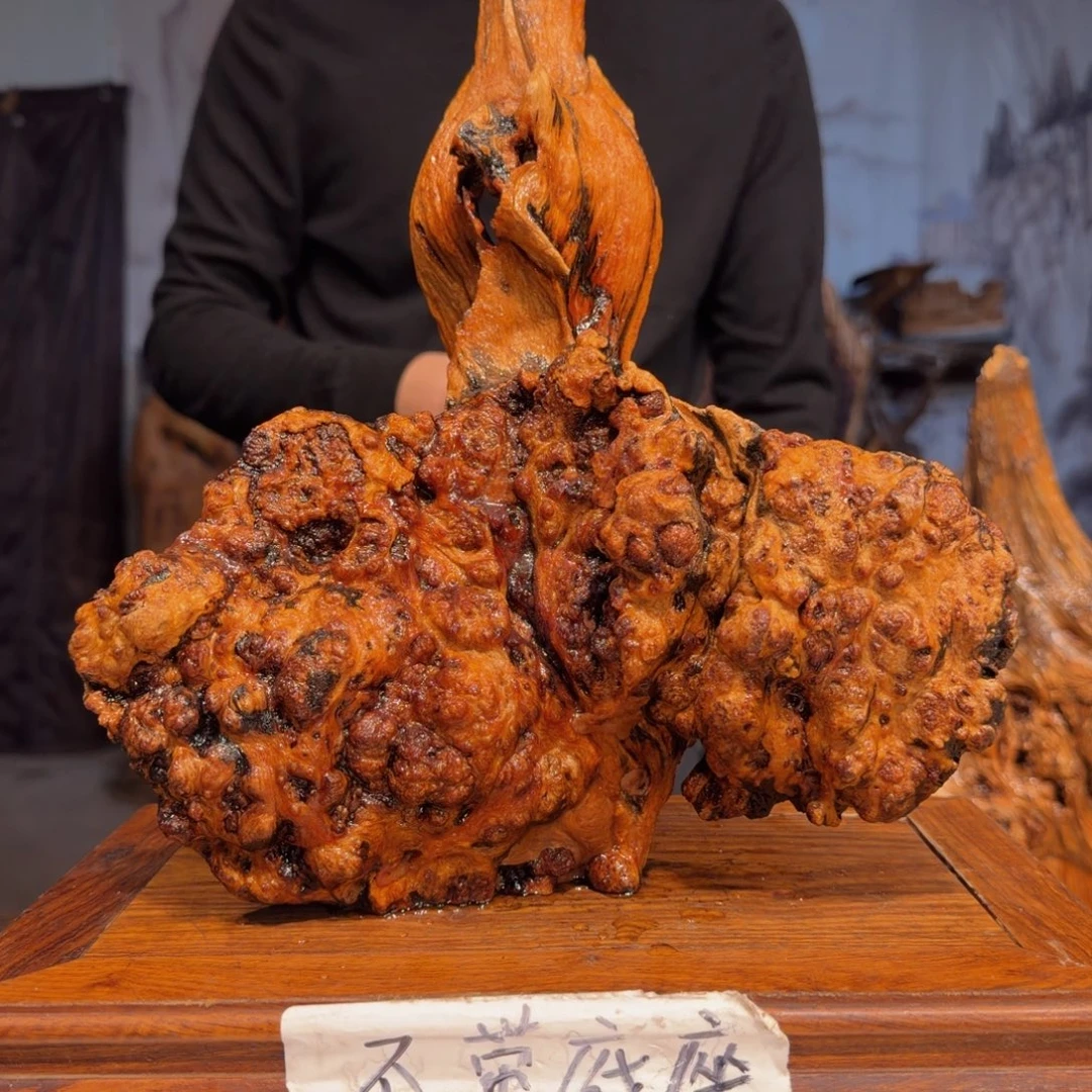 国***庆木三丰琥珀木 天然摆件4