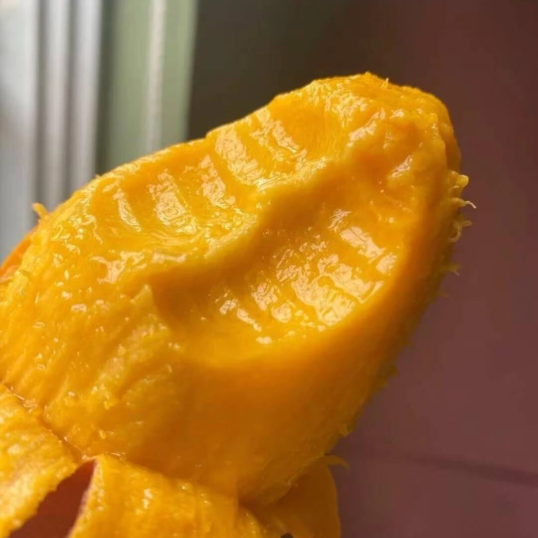 8斤普通箱装攀枝花迷你小贵妃芒新鲜采摘香甜多汁应季热带水果