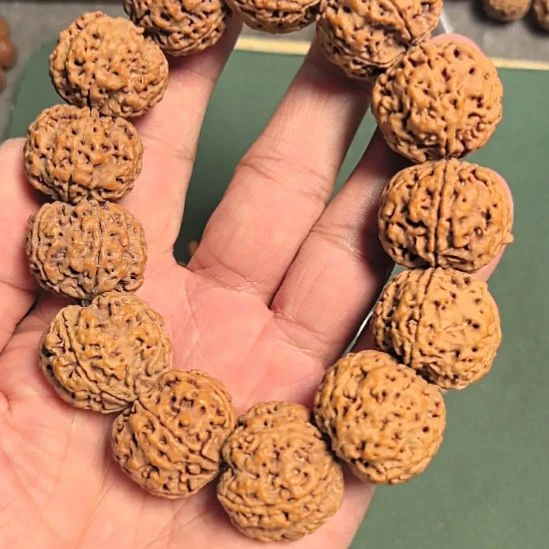 金刚菩提手串五星蜂王大金刚手串，24左右尺寸