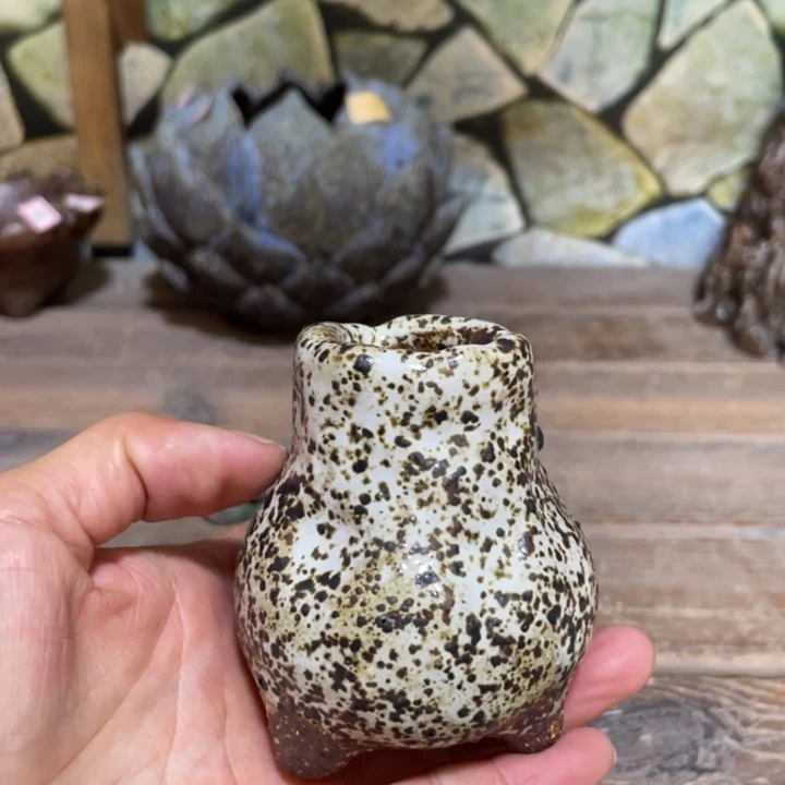 郝***华陶瓷制品不退不换