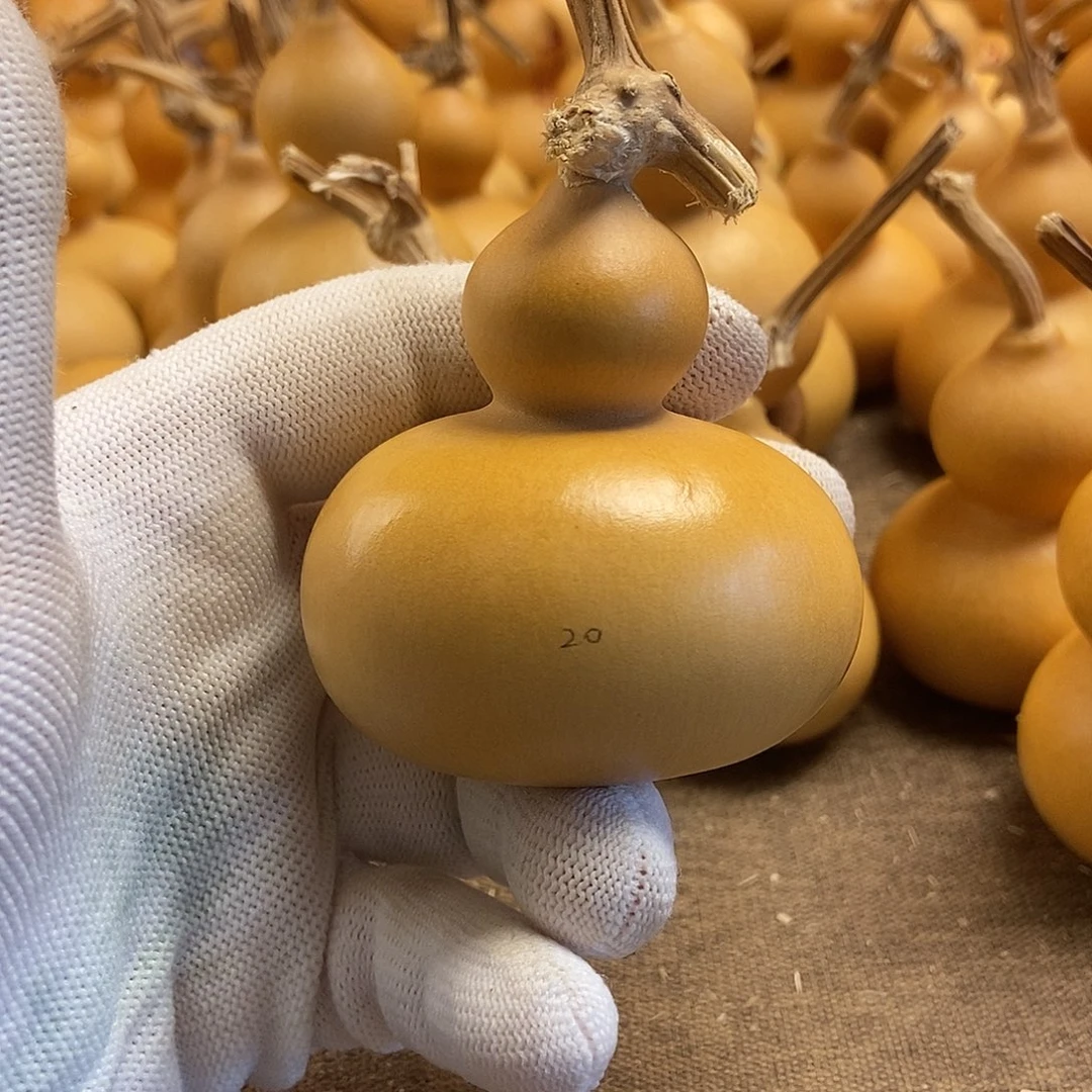 文玩葫芦 完美主义者 慎拍20