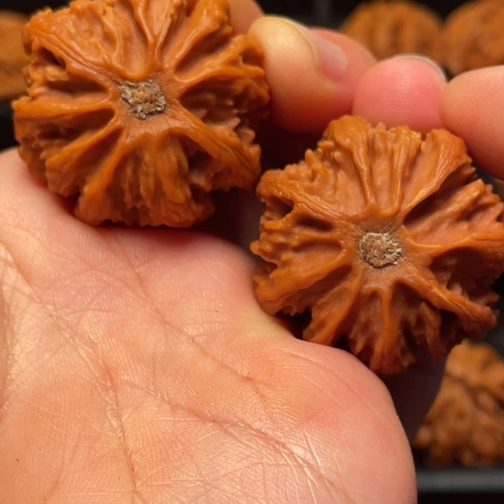 文玩核桃把件秦岭核桃